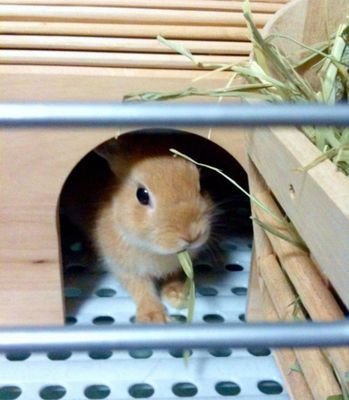 amrfromexperien's profile picture. 某国立歯学部出身