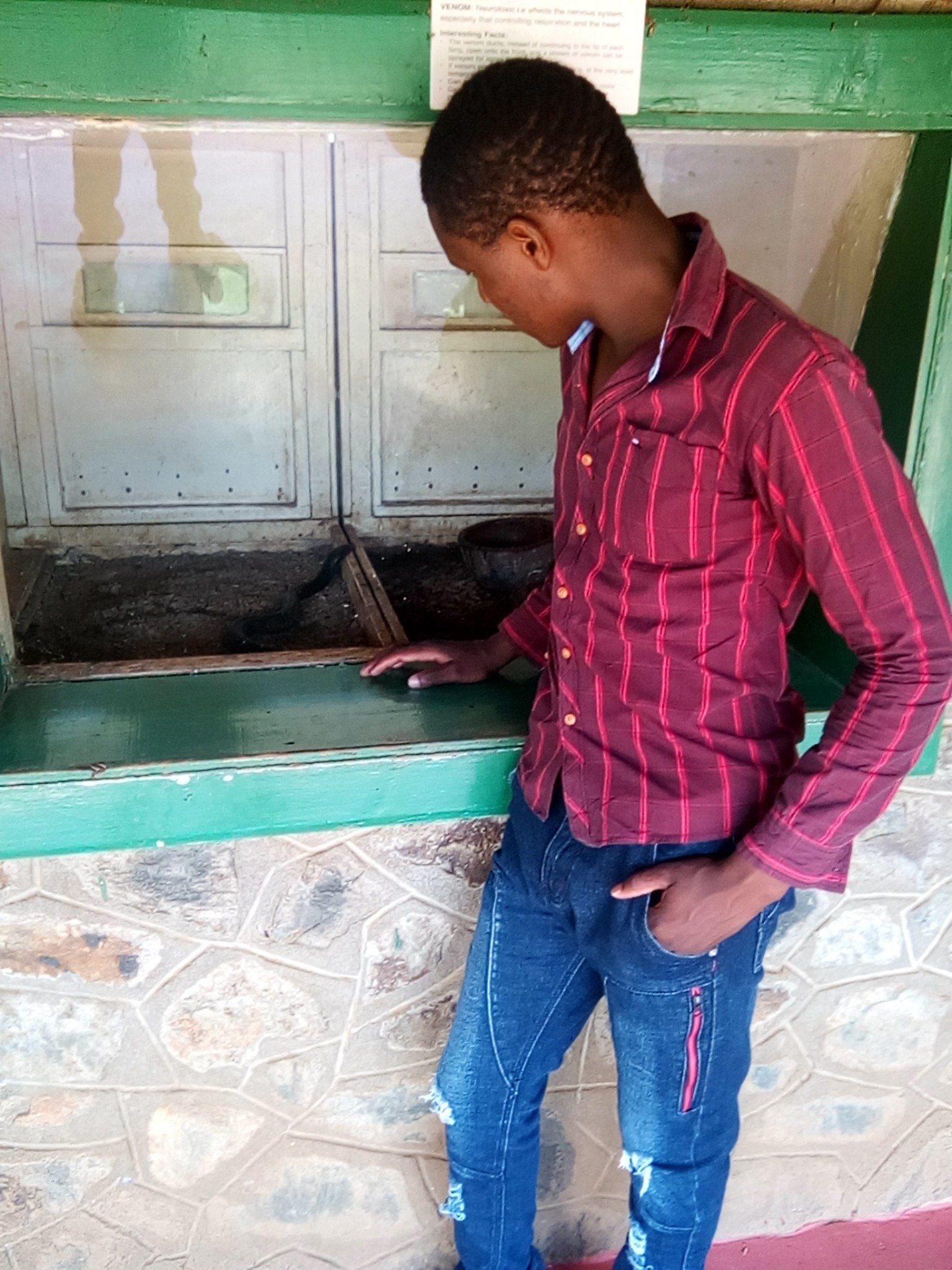 Jackson95315812's profile picture. 