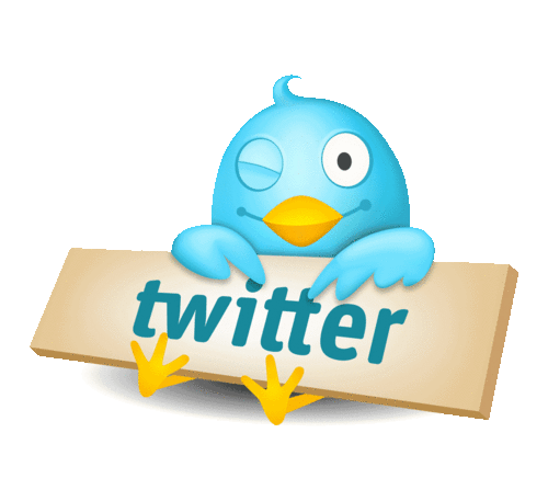 Se quiser ganhar followers no twitter e ser uma pessoa conhecida no twitter, é só trazer seguidores, e rapidinho você ganhará também