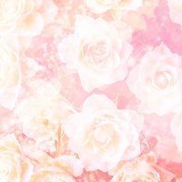 💛(きいろ) (@syoujikitkrt) 's Twitter Profile Photo 💛(きいろ) (@syoujikitkrt) 's Twitter Profile Photo