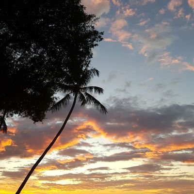 cthehappycamper's profile picture. 