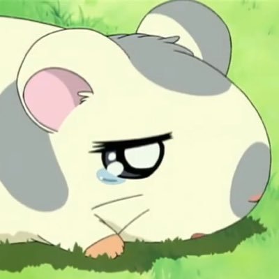 こうしくん Koshikun Twitter こうしくん Koshikun Twitter