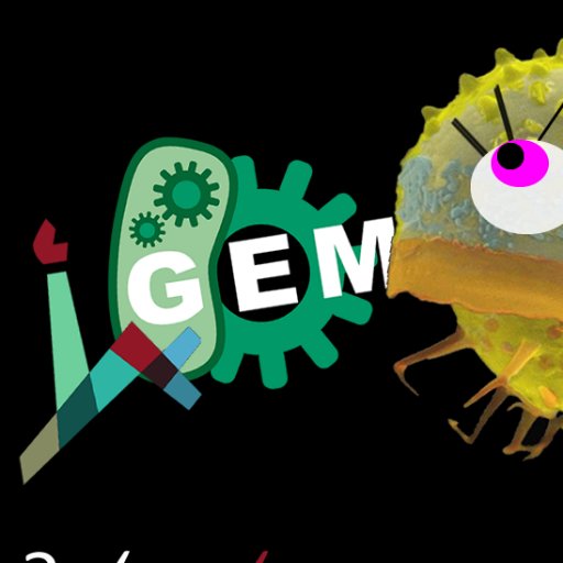 GemHuji's profile picture. The first #hebrewuniversity team participating in #Igem2018 international competition!