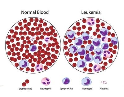 ksalab2030's profile picture. أمارس الصبر، والتجاهل، والعطاء
وملاذي الوحيد ، هو (الله) ،
أستفتي قلبك وإن أفتاك الناس وأفتوك.