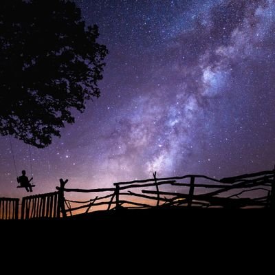 patrisancar72's profile picture. Carpe Diem.