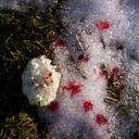 Steven Gregorio - @Emily_79562 - Twitter