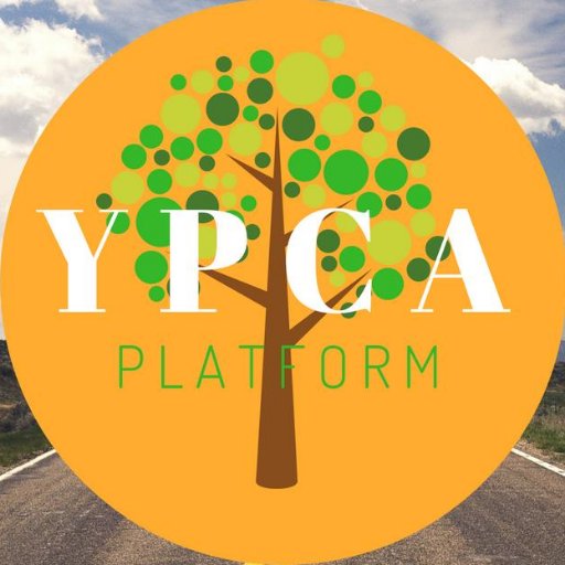 ypca_platform Profile Picture