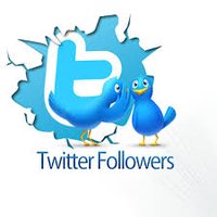 Follow Help(@follow2030me) 's Twitter Profile Photo