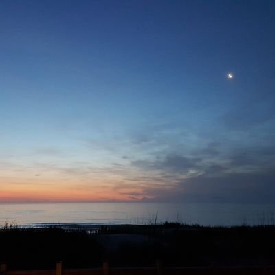 TothBeth's profile picture. 