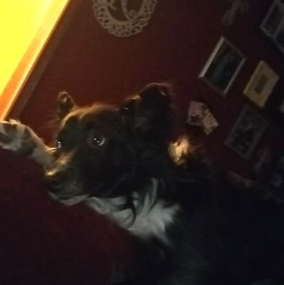 JudgementDay61's profile picture. Design Engineer, and Gamer all the way back to the Pong days!!!!  BF2, BC2 Tag: JudgementDay, BF3 Tag: JudgementDay61