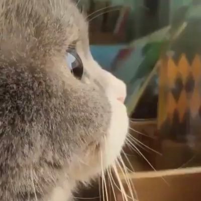 tokumei505's profile picture. この世は悪で溢れてる。 日本の司法に正義が無いことを知り、司法に対して誠実に対応することを見失った元探偵。