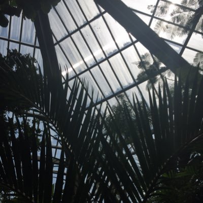 toriwedem's profile picture. shs 22’