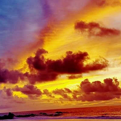 Pulacas's profile picture. 