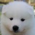 궂이 (@hwajil_guzi) Twitter profile photo 궂이 (@hwajil_guzi) Twitter profile photo