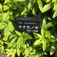 ⑦ (@3seventy) 's Twitter Profile