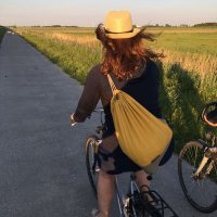 Ingrid Krawarik (@cowgirlingi) 's Twitter Profile