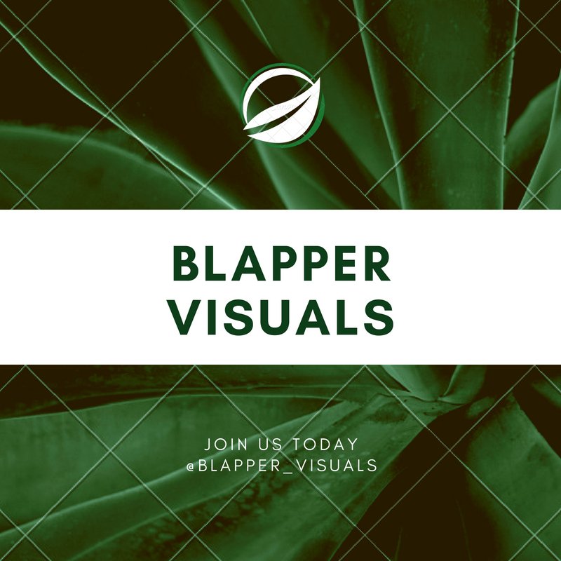 BlapperV's profile picture. 