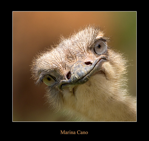 birdseye21's profile picture. 