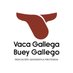 IGP VacaGallega - BueyGallego (@vacabueygalicia) Twitter profile photo IGP VacaGallega - BueyGallego (@vacabueygalicia) Twitter profile photo