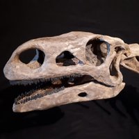 Museen in Sachsen-Anhalt (@museen_in_lsa) 's Twitter Profile Photo Museen in Sachsen-Anhalt (@museen_in_lsa) 's Twitter Profile Photo
