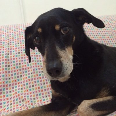 kukulano's profile picture. 