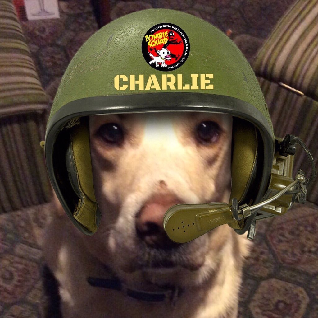 I'm a big yellow Labrador called Charlie dob 6th May 1999
Live with my brother Alfie Cockapoo 6 cats & humans. Sergeant in #ZSHQ  #RUFFRIDERZ