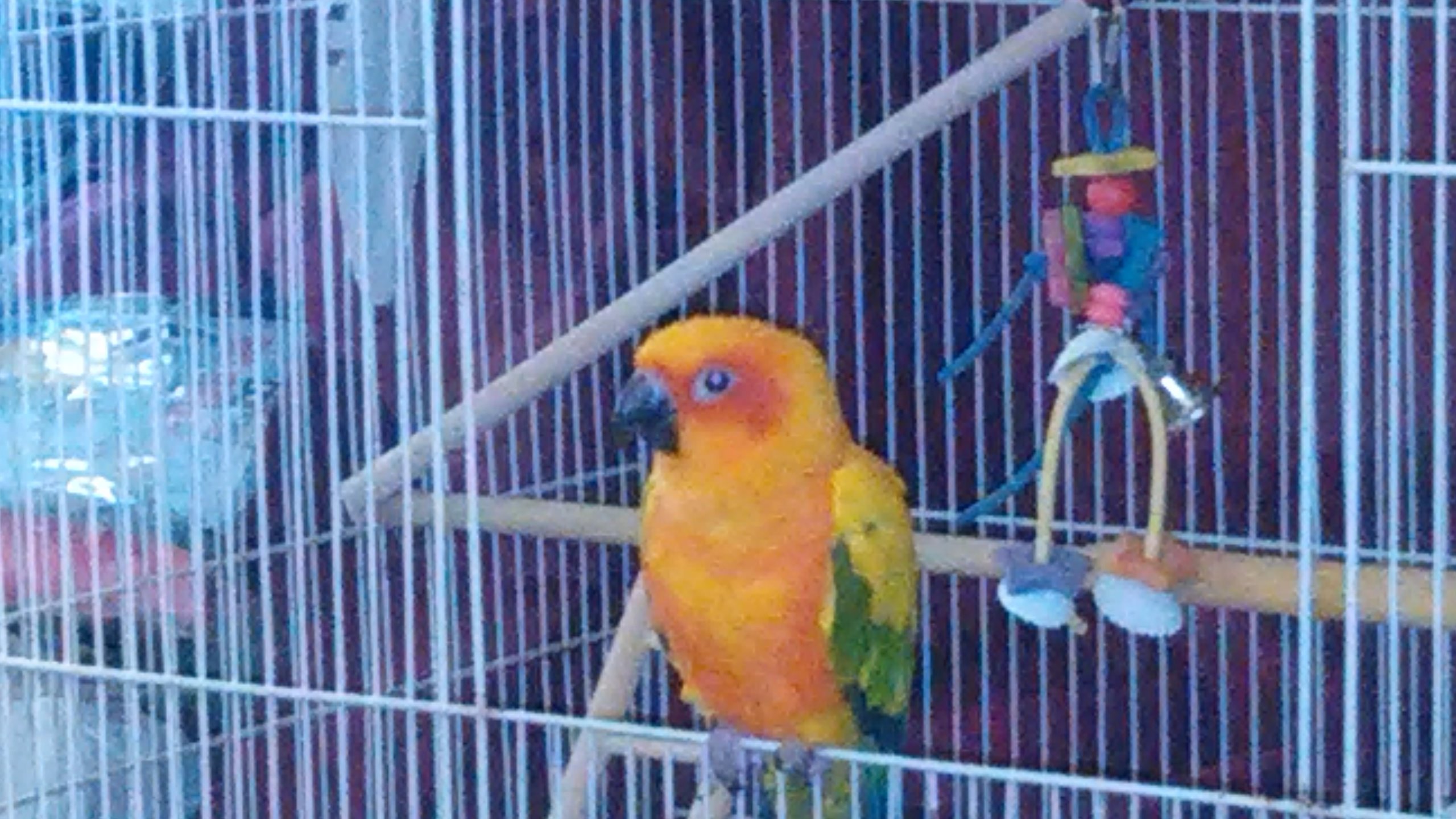 kaylamotte's profile picture. Middle-age, married,Loves ALL racing!!