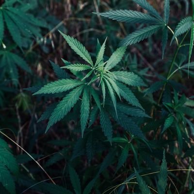 Basti91008143's profile picture. 