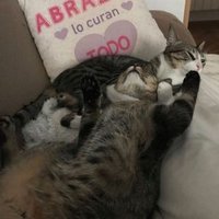 Ethaneo (@opinasintapujos) 's Twitter Profile