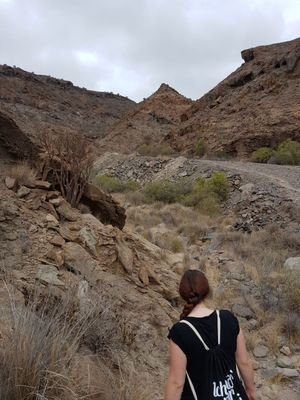 MarillaGee's profile picture. 