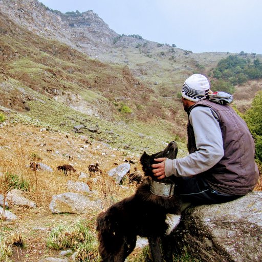 Under this initiative, we will try to capture the lives of pastoralist communities in the Indian Himalayas with the help of our collaborators and contributors.