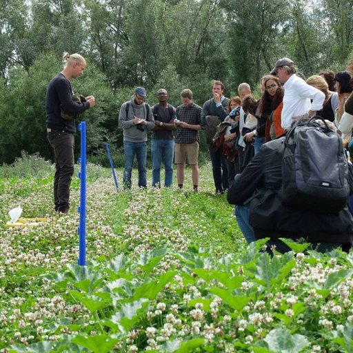 ISSAE aims to favour the transition from intensive agriculture to  agroecology in Europe by scaling-up and scaling out a concept of active learning.