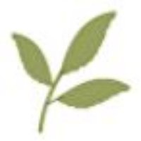 St Nicholas Hurst Parish Council (@stnicholashurst) 's Twitter Profile