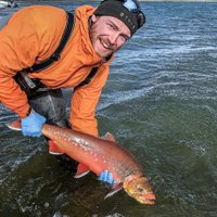 Matt Gilbert (@matt_jh_gilbert) 's Twitter Profile