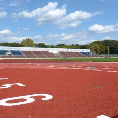 kamotatetu's profile picture. 