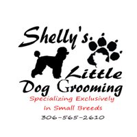 ShellyLilDogGrooming(@ShellysLDG) 's Twitter Profile Photo