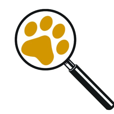 Plataforma informativa de comida para mascotas elaborada por veterinarios

Nutrición basada en ciencia y sentido común