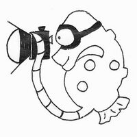 Dr Richard Smith (@rich_underwater) 's Twitter Profile