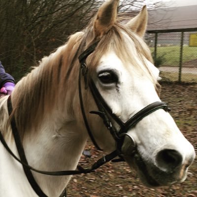 LucyDavies567's profile picture. 