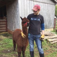 Rob Gil (@beardbrewery) 's Twitter Profile