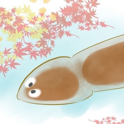プラナリア@尾道の投資家0歳さんのプロフィール画像