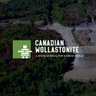 CWollastonite's profile picture. We provide high-quality wollastonite and gneiss mineral products in Ontario, Canada from a low-impact mining operation