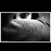 Isabel Ponce Mestanza (@01_brujita) Twitter profile photo Isabel Ponce Mestanza (@01_brujita) Twitter profile photo