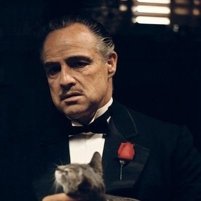 AlSam90's profile picture. ‏‏‏حياكم الله في بروفايلن مافيه نفسن ثقيلة هذا ولد عم وهذا ولد خال وهذا رفيقن مالقينا بديله