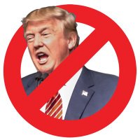 Emily Friesen - @ImpeachTrumpler Twitter Profile Photo