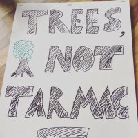 STTAG - South Tyneside Tree Action Group(@STyneTreeAction) 's Twitter Profile Photo