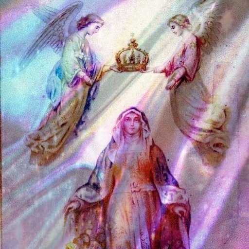 Catholic woman, gaming, politics, memes.