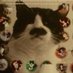 Charlie Bear BSc 🌈 🇮🇪☘️🇪🇺 (@goodnite75) Twitter profile photo Charlie Bear BSc 🌈 🇮🇪☘️🇪🇺 (@goodnite75) Twitter profile photo