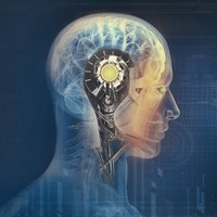 Behaviour, Environment & Cognition Research (@becresearch) 's Twitter Profile Photo Behaviour, Environment & Cognition Research (@becresearch) 's Twitter Profile Photo