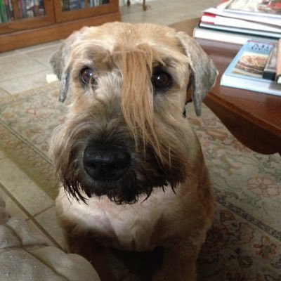 rljMaggiesMom's profile picture. Banker , Orlando Florida. Enjoys politics but not the hatred.